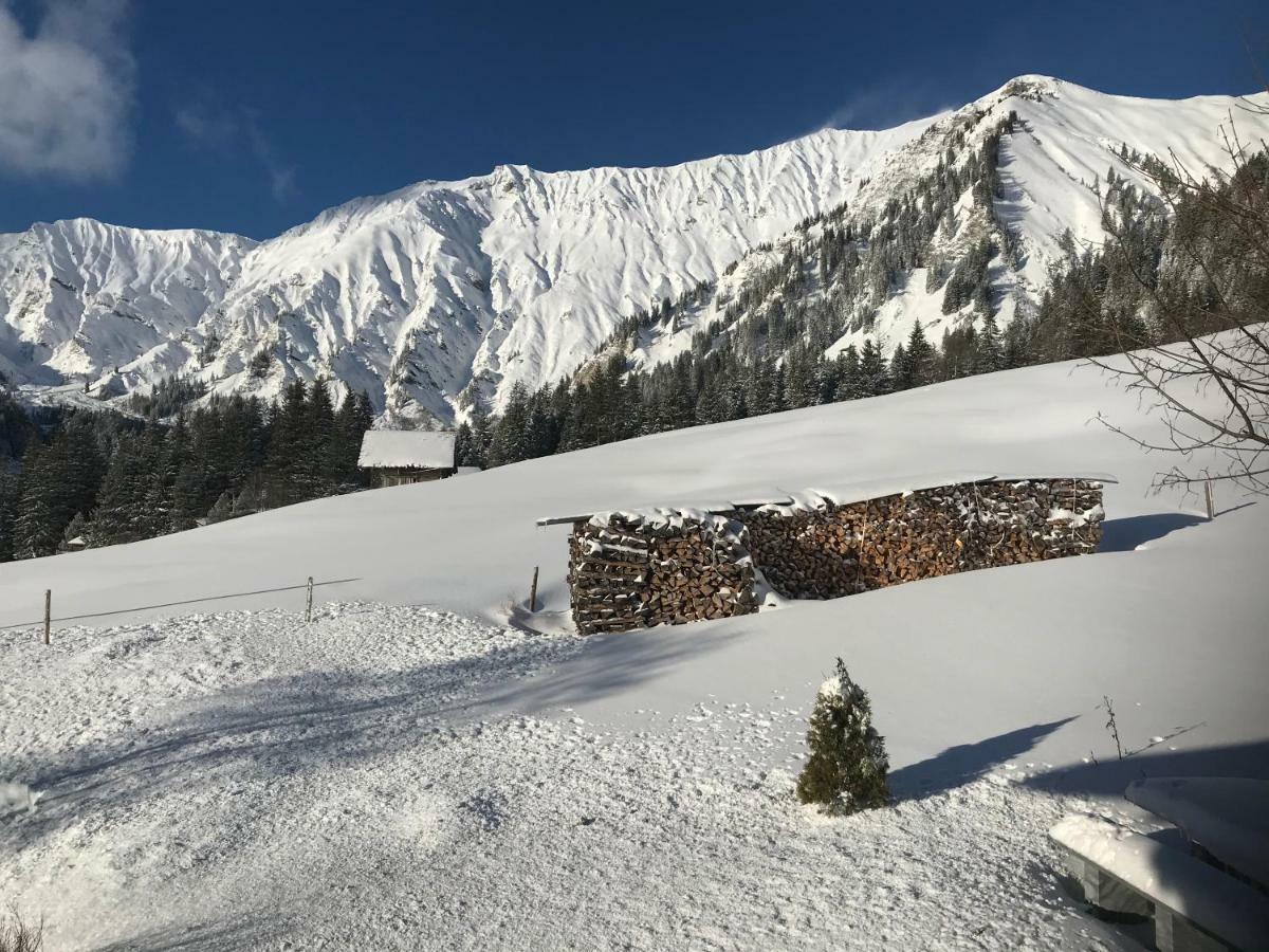Hotel Abelied à Adelboden Extérieur photo