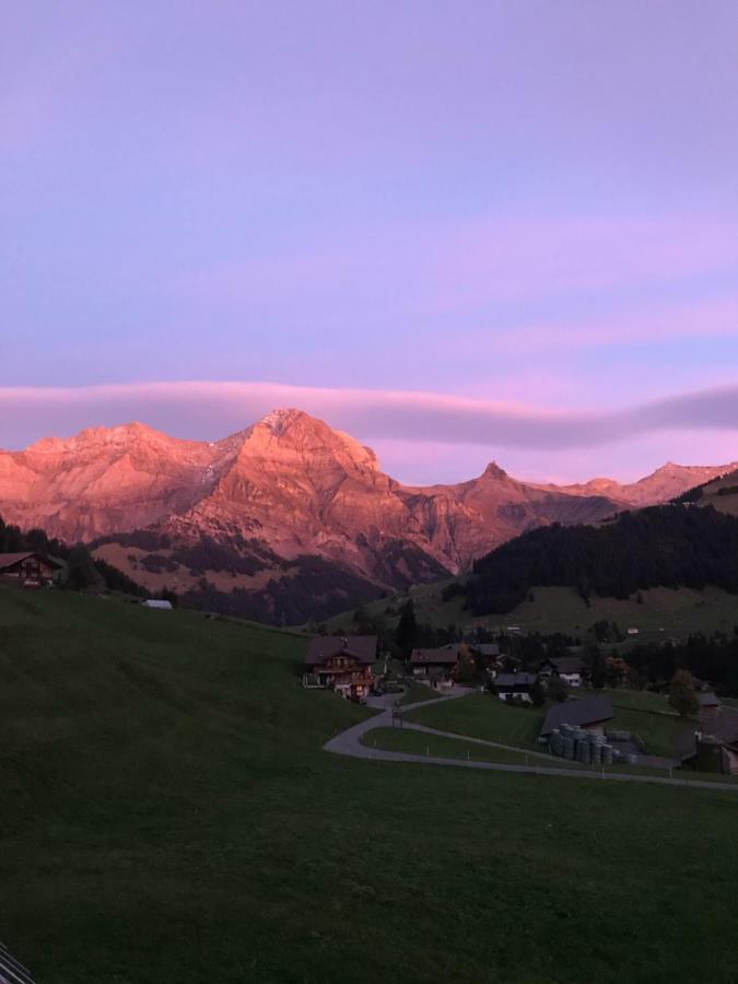 Hotel Abelied à Adelboden Extérieur photo