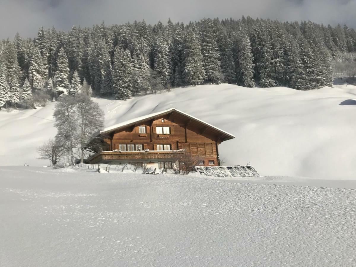 Hotel Abelied à Adelboden Extérieur photo